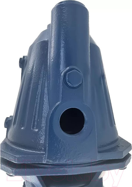 Изображение товара Поверхностный насос Maxpump JSW 900D