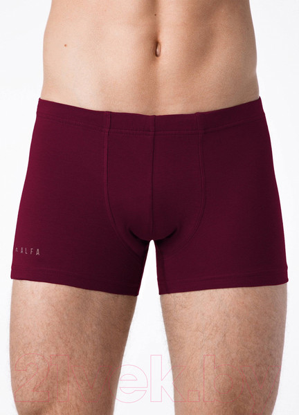 Изображение товара Трусы мужские Alfa Man 6300 (р-р 118-122, бордовый)
