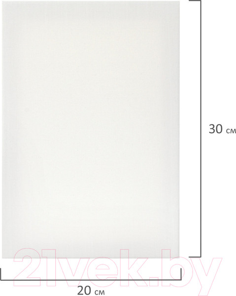 Изображение товара Набор холстов для рисования Brauberg Art Debut / 191649 (3шт)