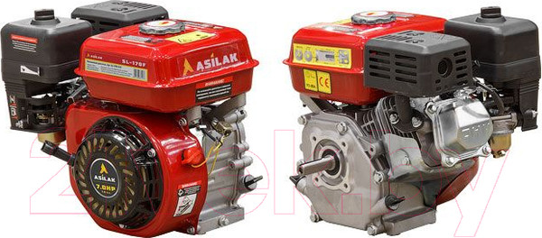 Изображение товара Двигатель бензиновый Asilak SL-170F-D19