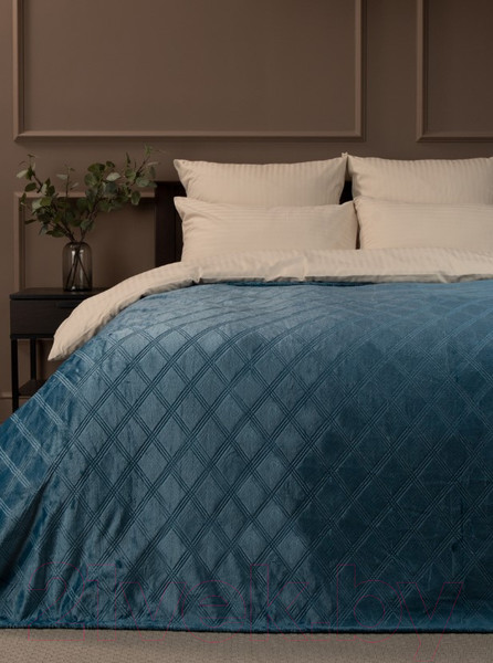 Изображение товара Плед TexRepublic Elite Клетка Фланель Евро / 93389 (синий)