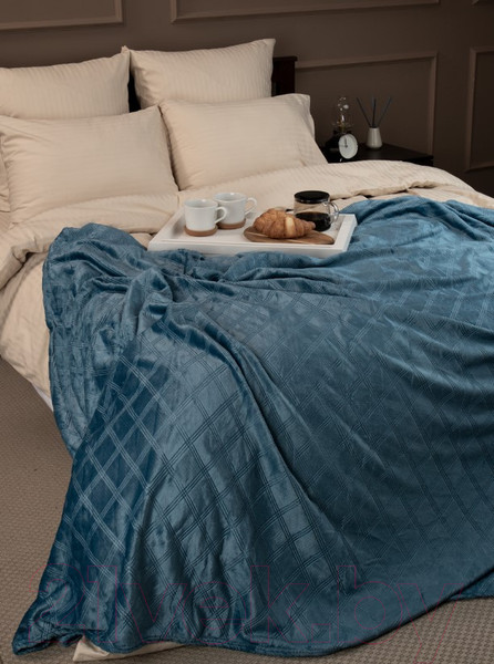 Изображение товара Плед TexRepublic Elite Клетка Фланель Евро / 93389 (синий)