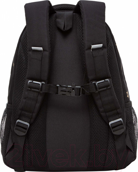 Изображение товара Школьный рюкзак Grizzly RG-462-2 (черный)