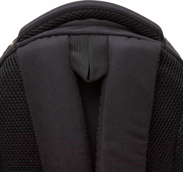 Изображение товара Школьный рюкзак Grizzly RG-462-2 (черный)