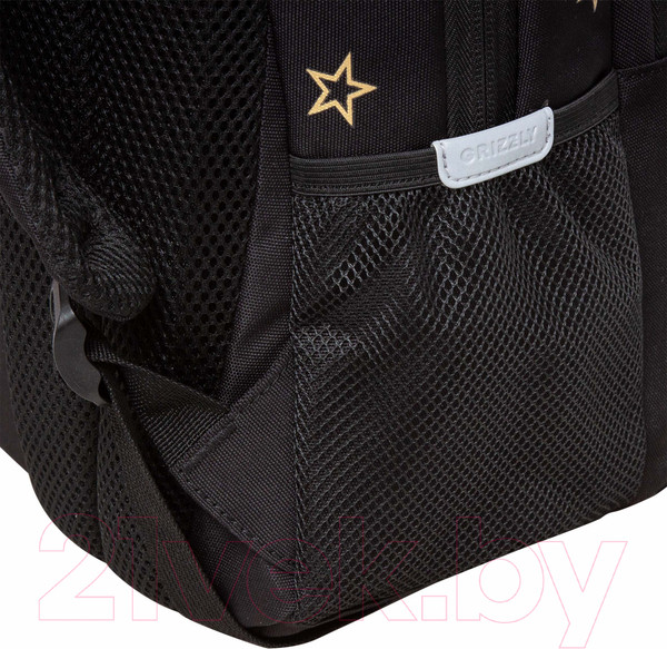 Изображение товара Школьный рюкзак Grizzly RG-462-2 (черный)