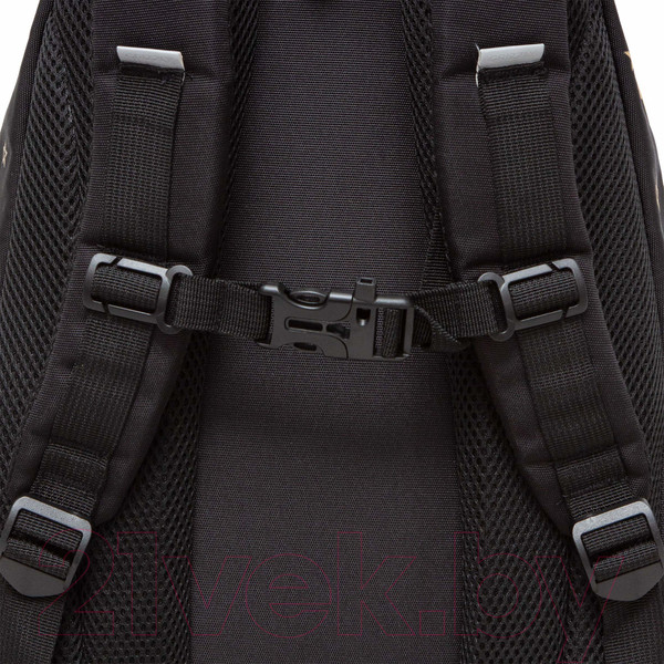 Изображение товара Школьный рюкзак Grizzly RG-462-2 (черный)