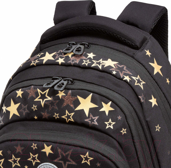 Изображение товара Школьный рюкзак Grizzly RG-462-2 (черный)