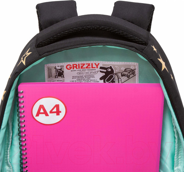 Изображение товара Школьный рюкзак Grizzly RG-462-2 (черный)