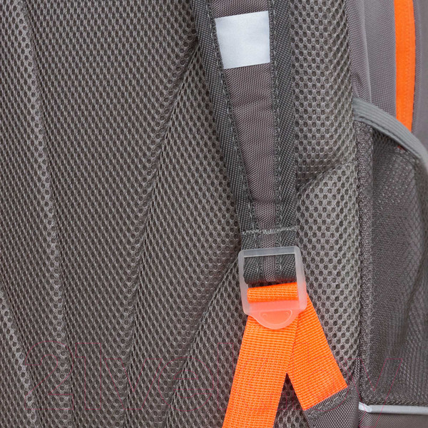 Изображение товара Школьный рюкзак Grizzly RG-463-1 (серый)