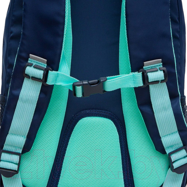 Изображение товара Школьный рюкзак Grizzly RG-464-7 (синий)