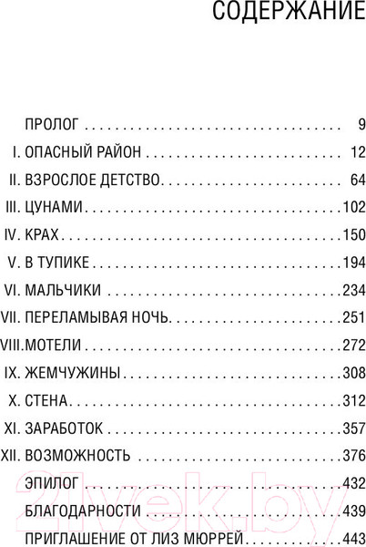 Изображение товара Книга Бомбора Клуб бездомных мечтателей (Мюррей Л.)