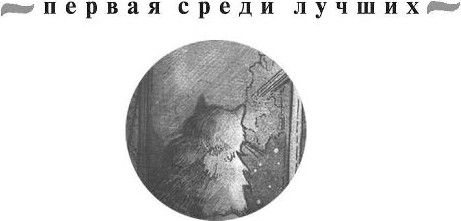 Изображение товара Книга Эксмо Настоящее, мягкая обложка (Устинова Татьяна)