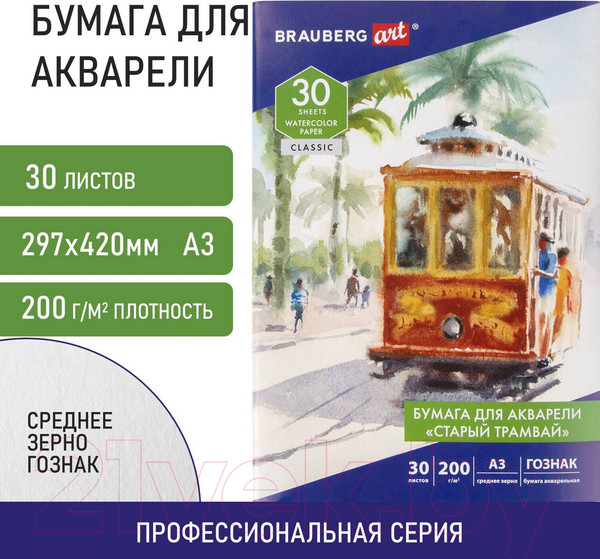 Изображение товара Набор бумаги для рисования Brauberg Art Classic / 112324 (30л)