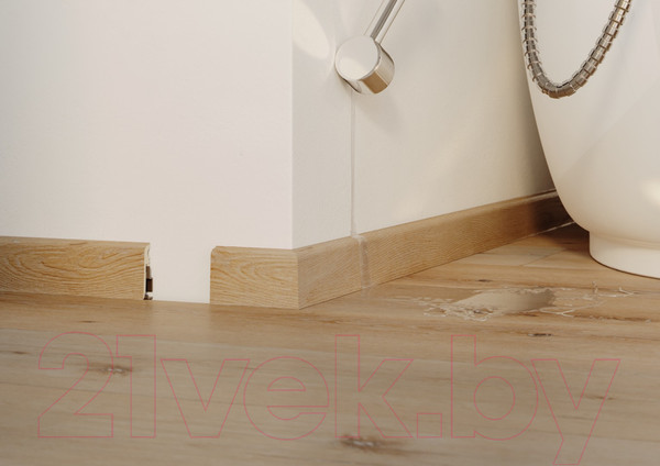 Изображение товара Плинтус Arbiton Vigo 60 Дуб Монумент 158 (2.2м)