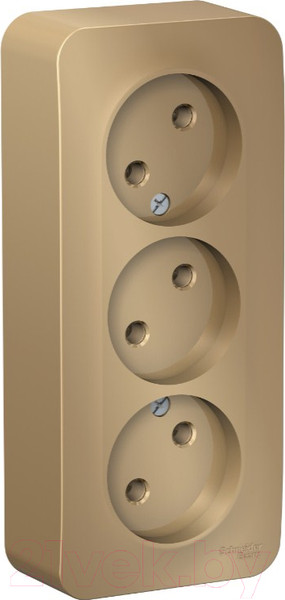 Изображение товара Розетка Systeme (Schneider) Electric Blanca BLNRA000314