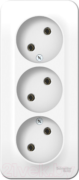 Изображение товара Розетка Systeme (Schneider) Electric Blanca BLNRA000311