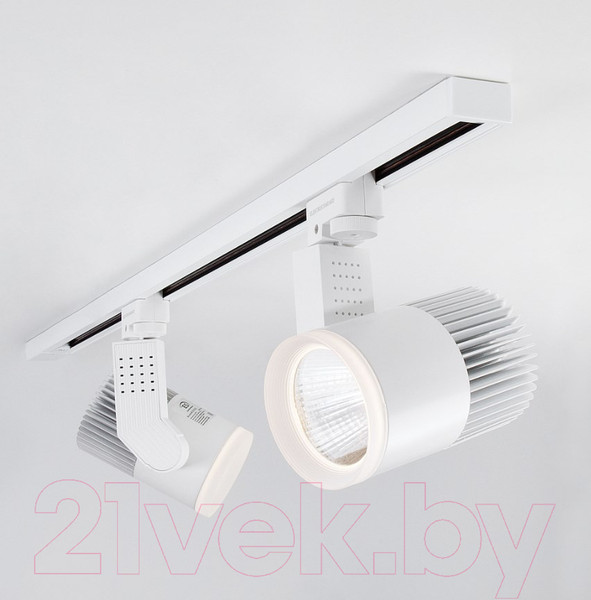 Изображение товара Трековый светильник Elektrostandard Accord 20W 4200K LTB17 (белый)