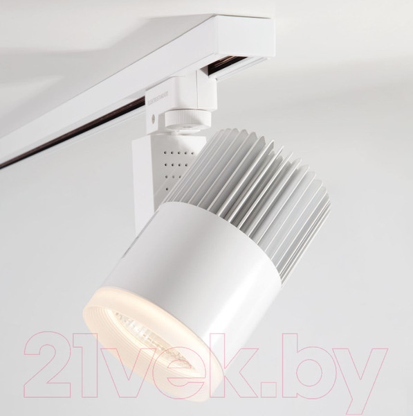 Изображение товара Трековый светильник Elektrostandard Accord 20W 4200K LTB17 (белый)