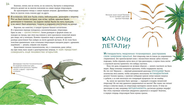 Изображение товара Энциклопедия Эксмо Крылатые, но не динозавры, твердая обложка (Попов Ярослав)