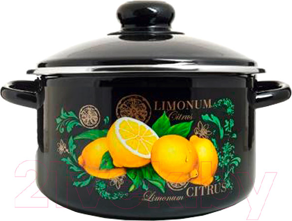 Изображение товара Кастрюля ЭСТЕТ Цитрус / ЭТ-75016/4