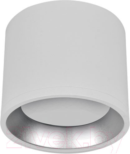 Изображение товара Точечный светильник INhome НПБ Цилиндр GX53-CH/WH / 4690612046563