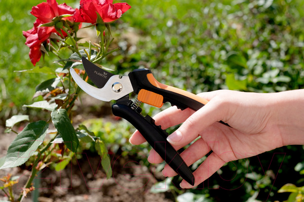 Изображение товара Секатор механический Plantic P204 / 25204-01