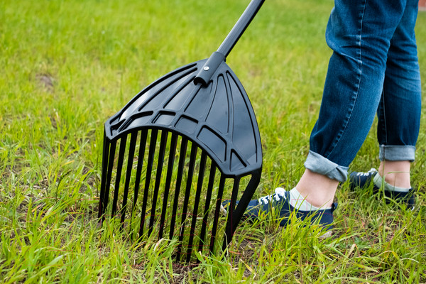 Изображение товара Грабли Plantic Terra 3в1 33302-01