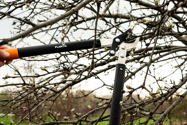 Изображение товара Сучкорез механический Plantic P301 / 35301-01