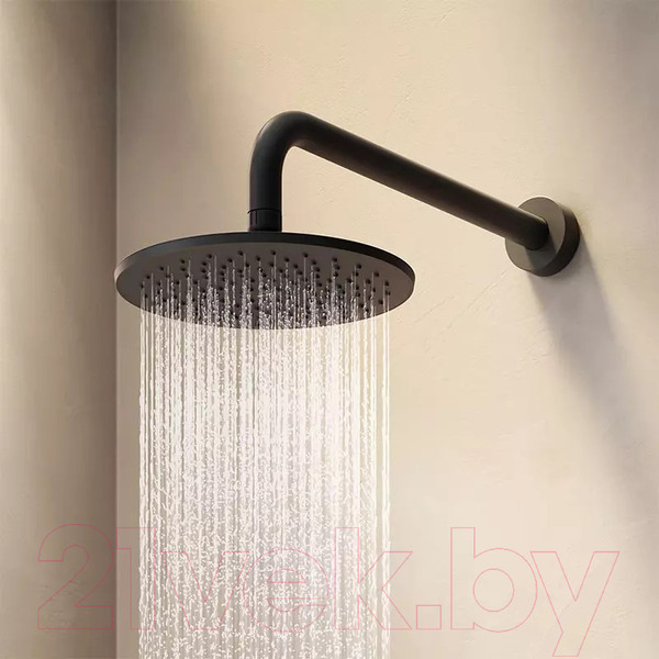 Изображение товара Лейка верхнего душа AM.PM Gem F0590022