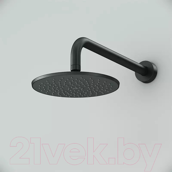 Изображение товара Лейка верхнего душа AM.PM Gem F0590022