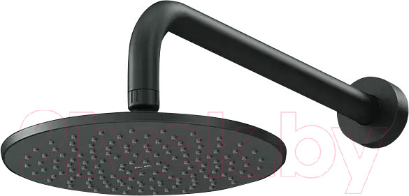 Изображение товара Лейка верхнего душа AM.PM Gem F0590022