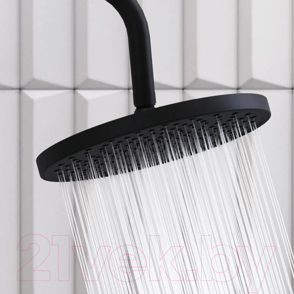 Изображение товара Лейка верхнего душа Damixa Scandinavian Pure 936050300 (черный)