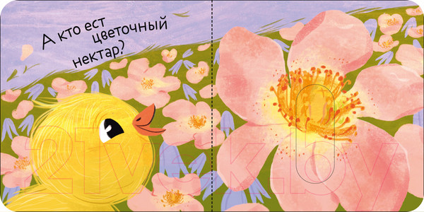 Изображение товара Развивающая книга CLEVER Вжух! Кто что ест?