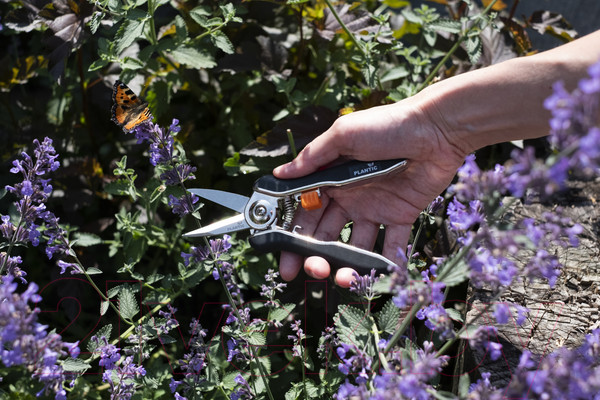 Изображение товара Садовые ножницы механические Plantic 35306-01