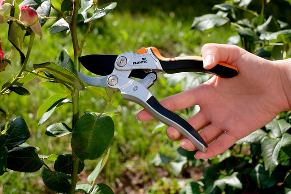 Изображение товара Секатор механический Plantic Pro81 / 25281-01
