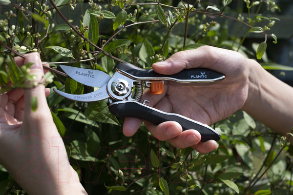 Изображение товара Садовые ножницы механические Plantic 35307-01