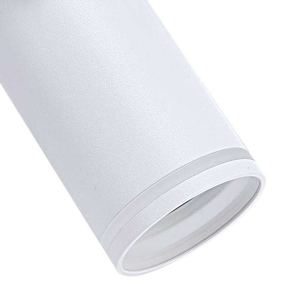 Изображение товара Потолочный светильник Truenergy 21324