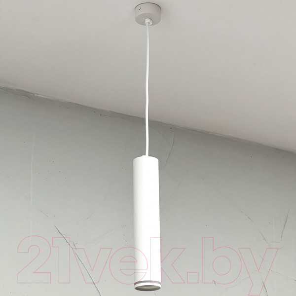 Изображение товара Потолочный светильник Truenergy 21324