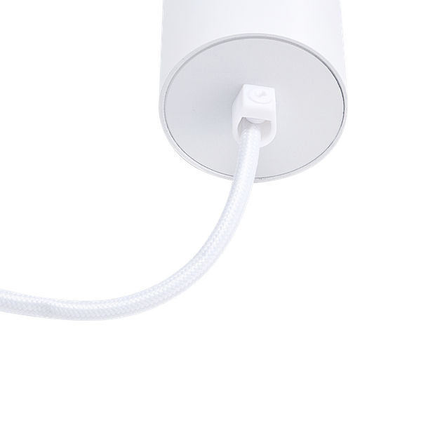 Изображение товара Потолочный светильник Truenergy 21324