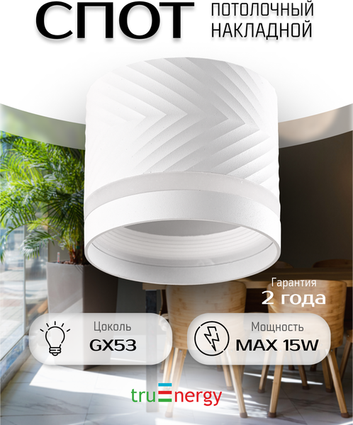 Изображение товара Точечный светильник Truenergy 21009