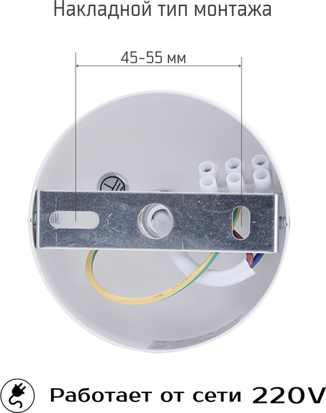 Изображение товара Потолочный светильник Truenergy 21013