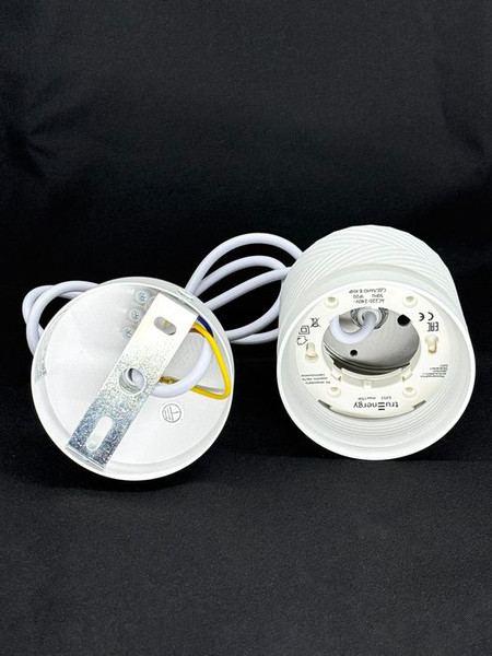 Изображение товара Потолочный светильник Truenergy 21013