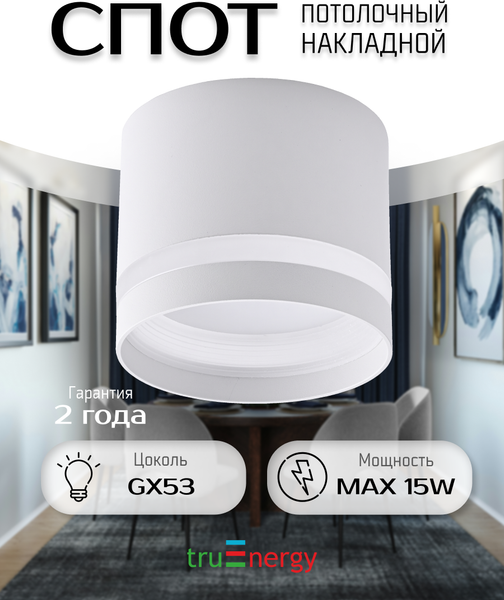 Изображение товара Точечный светильник Truenergy 21015