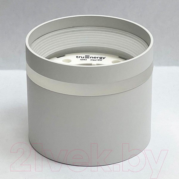 Изображение товара Точечный светильник Truenergy 21015