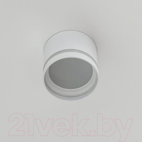 Изображение товара Точечный светильник Truenergy 21015