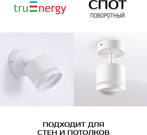 Изображение товара Спот Truenergy 21017