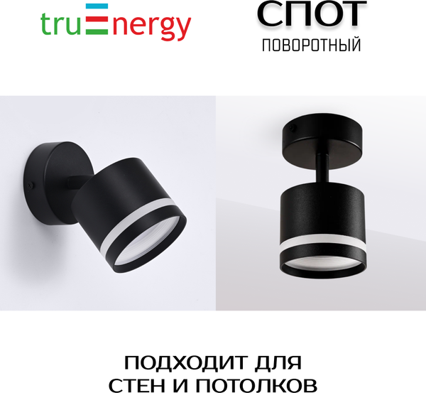Изображение товара Спот Truenergy 21018