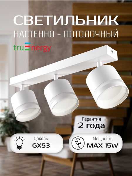 Изображение товара Спот Truenergy 21021