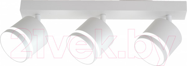 Изображение товара Спот Truenergy 21021