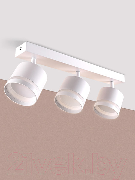 Изображение товара Спот Truenergy 21021